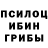 Галлюциногенные грибы Cubensis JustHannah