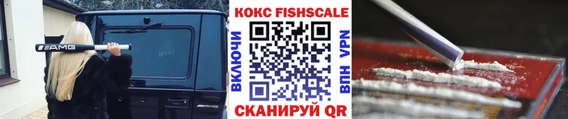 КОКАИН Fish Scale  купить закладку  Ершов 
